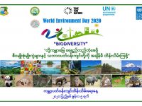 WED 2020 poster_with UNDP